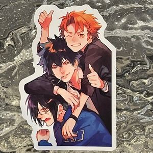 5/$10 Waterproof Vinyl Decorative Stickers